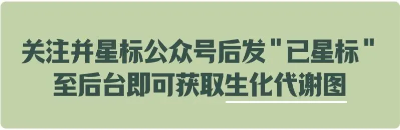 【送背诵手册】生一生物考研28考研资料体系介绍!覆盖备考全阶段需求!新增金牌无忧专属刷题背诵资料!-第3张图片-四季读书网