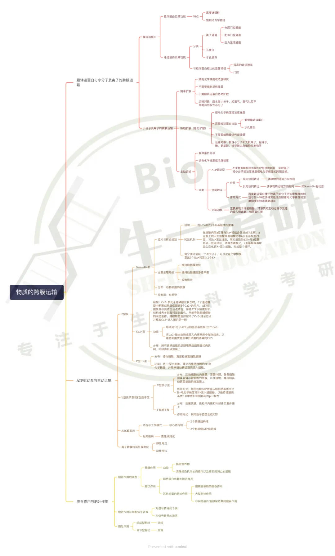 【送背诵手册】生一生物考研28考研资料体系介绍!覆盖备考全阶段需求!新增金牌无忧专属刷题背诵资料!-第16张图片-四季读书网