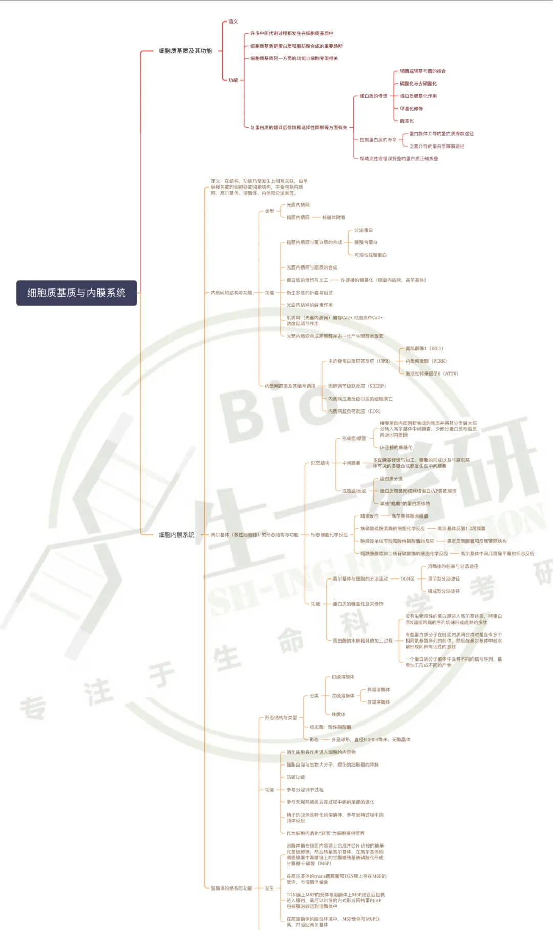【送背诵手册】生一生物考研28考研资料体系介绍!覆盖备考全阶段需求!新增金牌无忧专属刷题背诵资料!-第17张图片-四季读书网