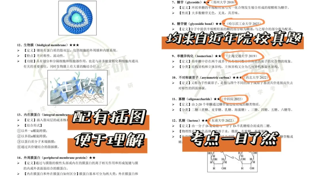 【送背诵手册】生一生物考研28考研资料体系介绍!覆盖备考全阶段需求!新增金牌无忧专属刷题背诵资料!-第19张图片-四季读书网