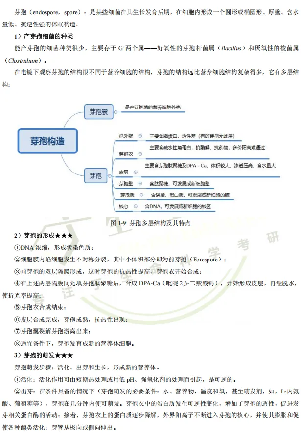 【送背诵手册】生一生物考研28考研资料体系介绍!覆盖备考全阶段需求!新增金牌无忧专属刷题背诵资料!-第38张图片-四季读书网