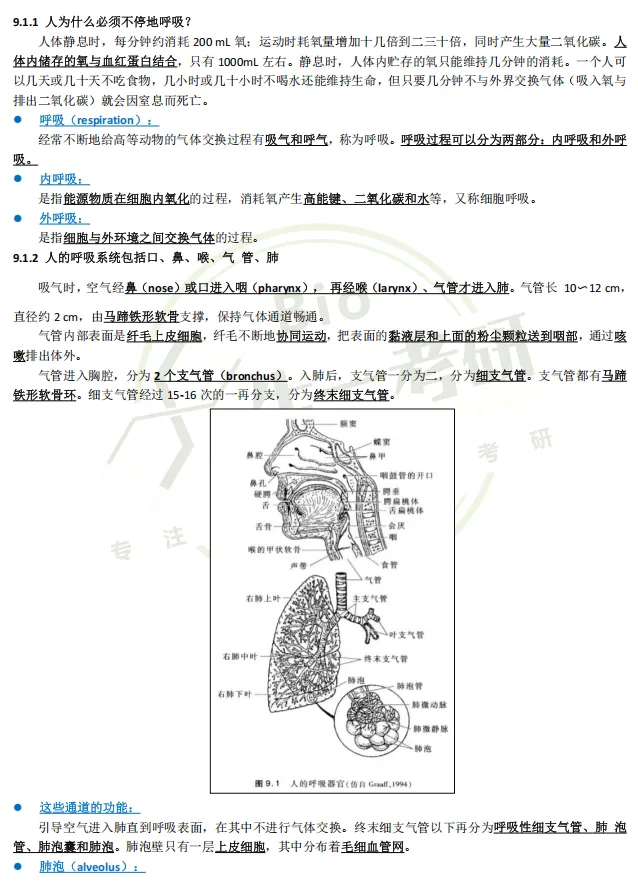 【送背诵手册】生一生物考研28考研资料体系介绍!覆盖备考全阶段需求!新增金牌无忧专属刷题背诵资料!-第41张图片-四季读书网