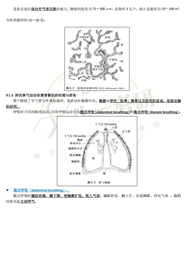 【送背诵手册】生一生物考研28考研资料体系介绍!覆盖备考全阶段需求!新增金牌无忧专属刷题背诵资料!-第42张图片-四季读书网