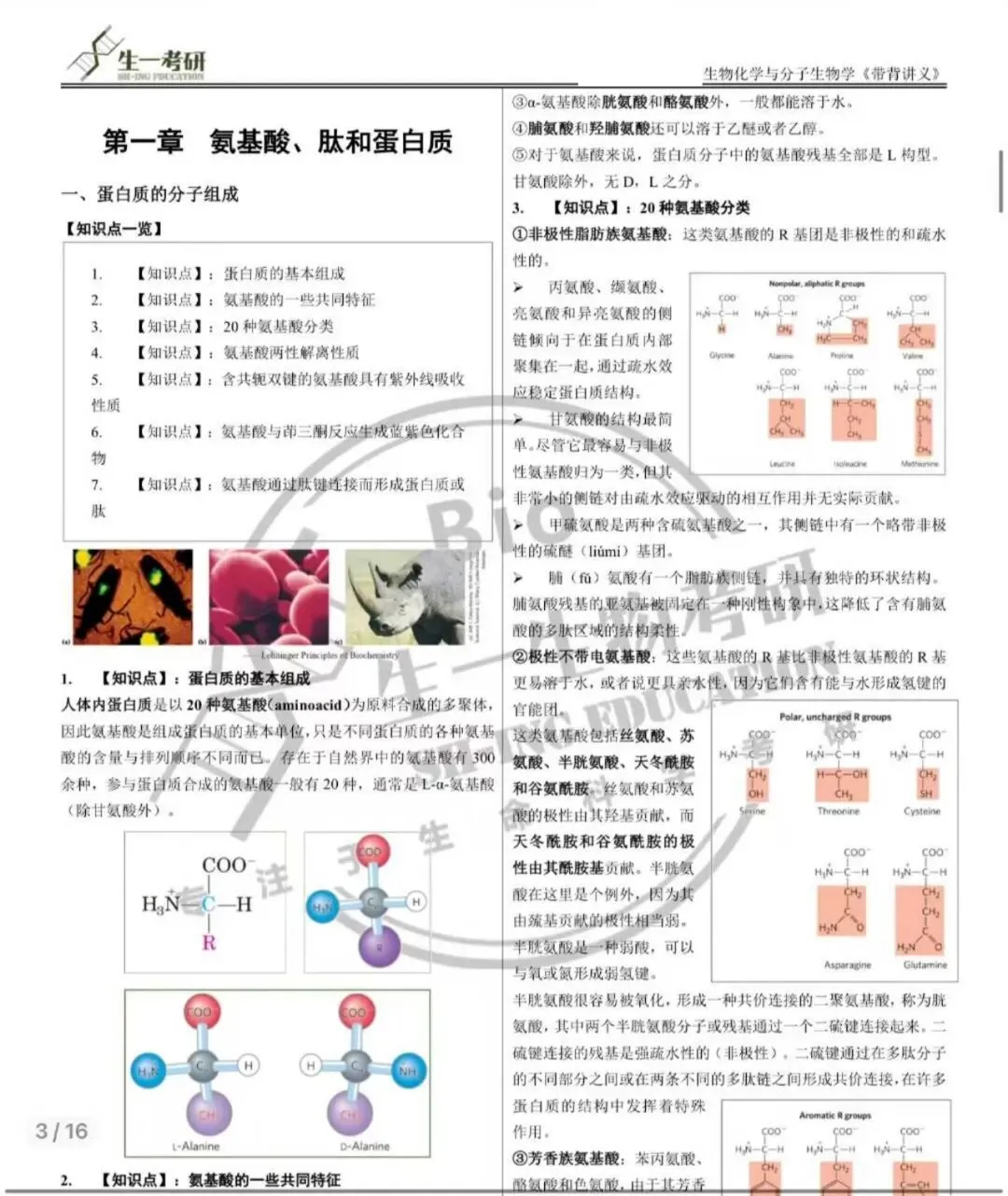 【送背诵手册】生一生物考研28考研资料体系介绍!覆盖备考全阶段需求!新增金牌无忧专属刷题背诵资料!-第46张图片-四季读书网