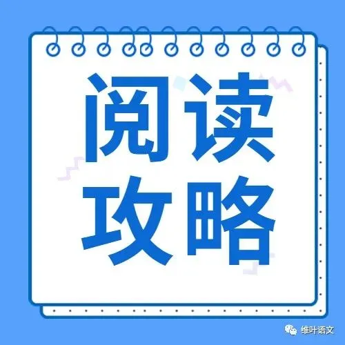 深度访谈|从模考作文39到高考作文50+——一位高考屏蔽生的作文逆袭之路-第11张图片-四季读书网 深度访谈|从模考作文39到高考作文50+——一位高考屏蔽生的作文逆袭之路-第11张图片-四季读书网