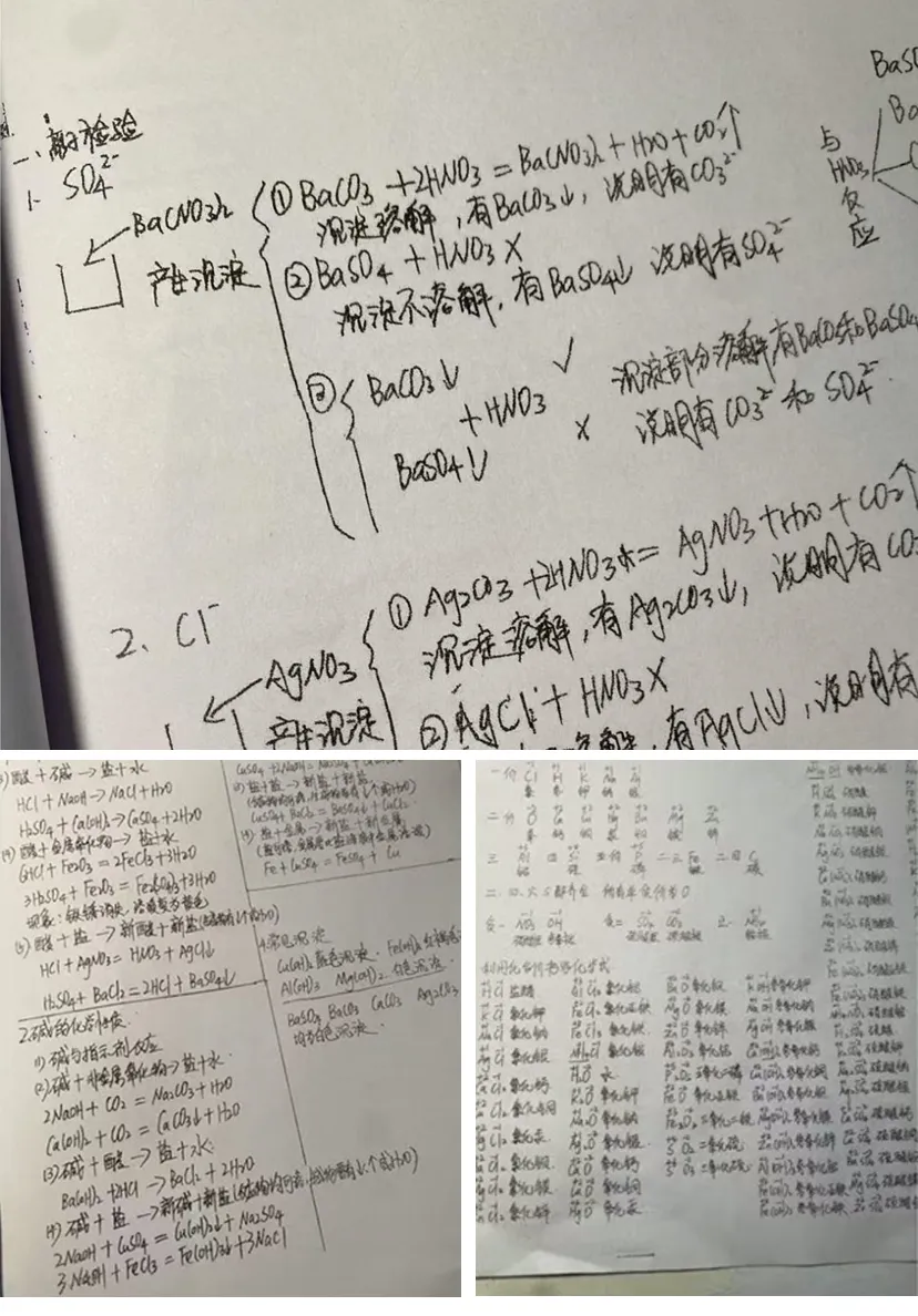 原来亚运城娃这么厉害,今年中考物理满分!化学98分!数学115分!-第23张图片-四季读书网