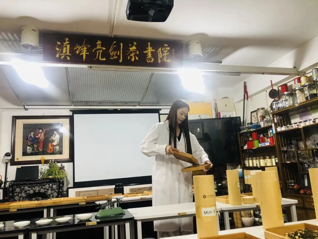 高级评茶师实操模拟考考试参考教学讲义分享-第5张图片-四季读书网