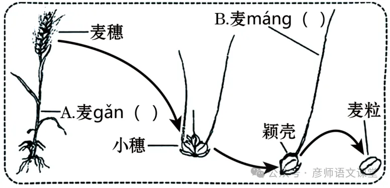 【中考真题】【中考真题】2026年河南省中考语文试题(含答案)-第2张图片-四季读书网