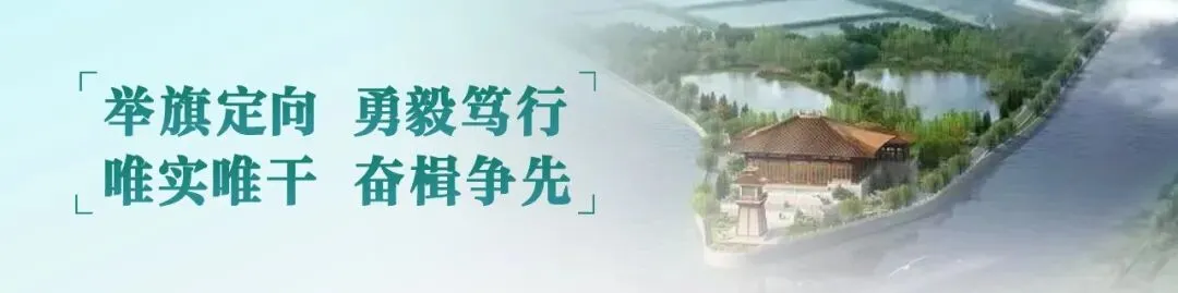 六大主题路线+百场活动!“五一”假期松江游玩攻略来了