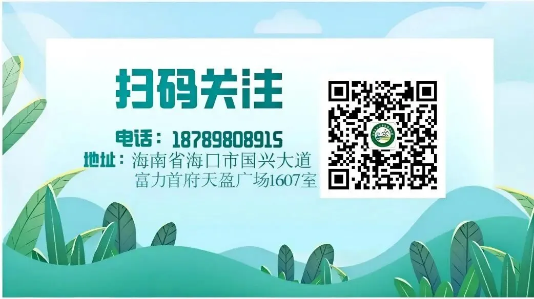 【重要通知】海南省旅游业高质量发展奖补资金标准化奖励申报开始啦!(含椰级乡村点等)
