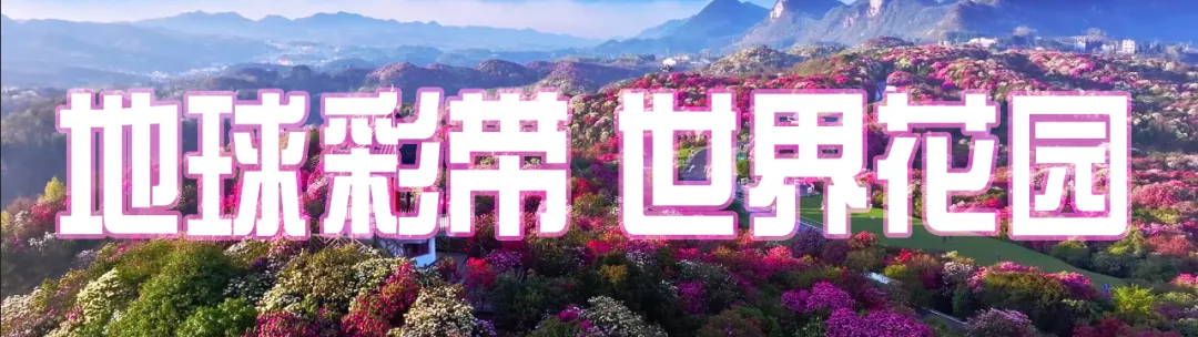 五一游百里杜鹃,这些景区攻略你不能错过!