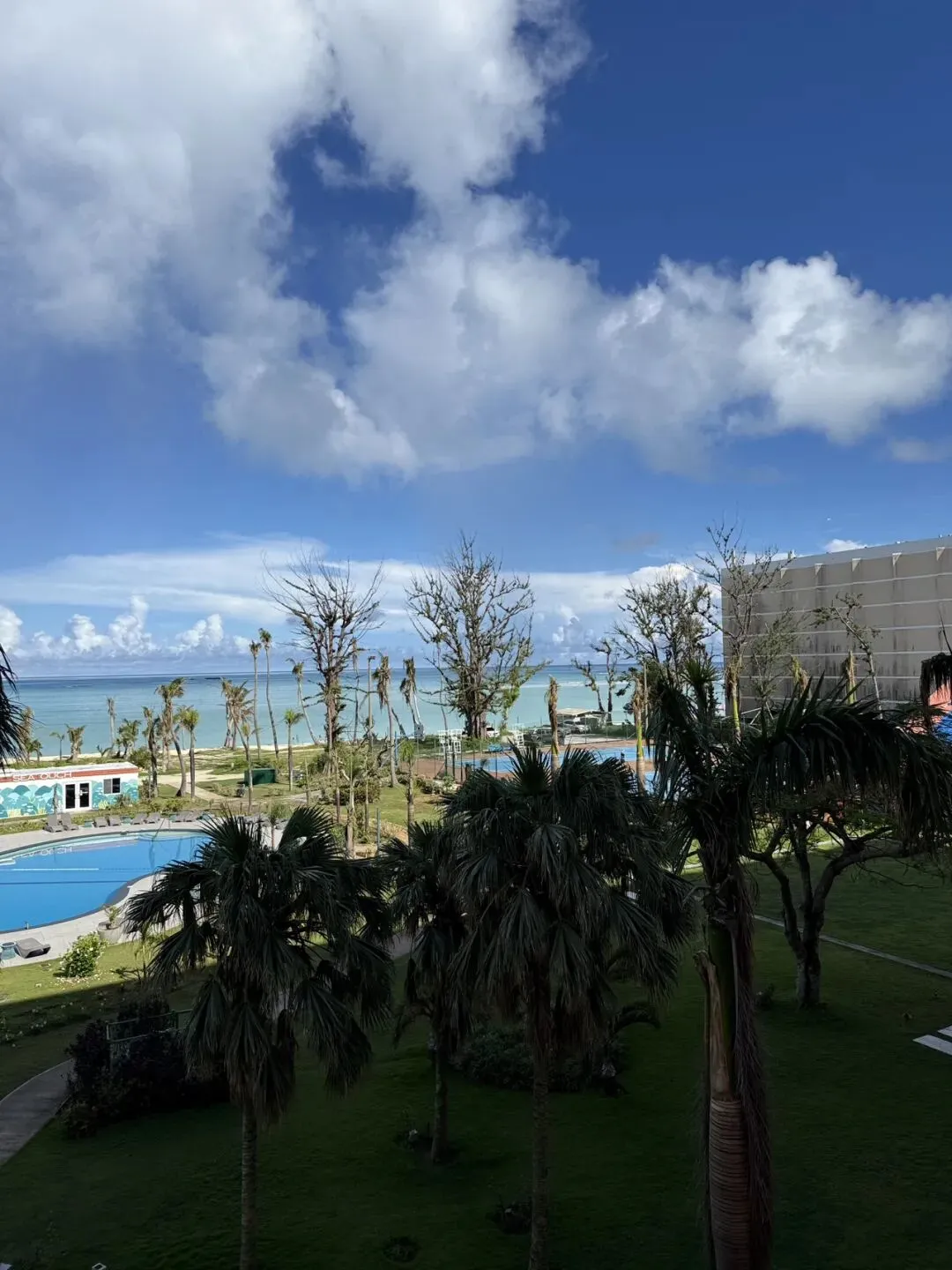 深圳夏日旅游全攻略|避暑玩水、拍照出片、轻松不踩雷(适合6–8月)