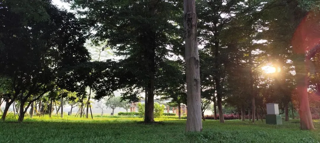 泉州市区旅游攻略,为家乡打call