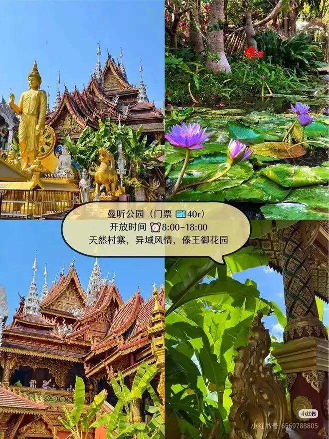 西双版纳3天2晚保姆级旅游攻略