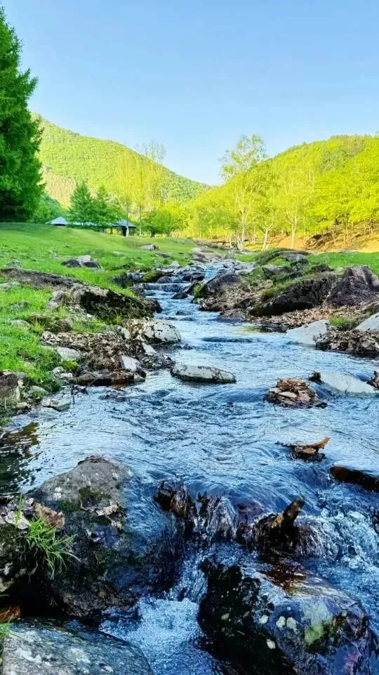 黑龙江伊春旅游攻略|22°C森林避暑,喂小鹿坐小火车踩溪水全攻略