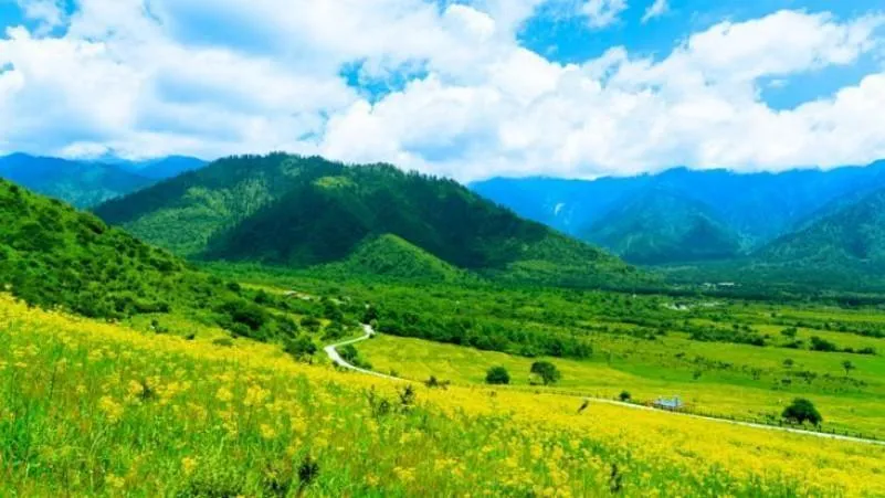 西藏旅游攻略 鲁朗,让时间慢下来的地方