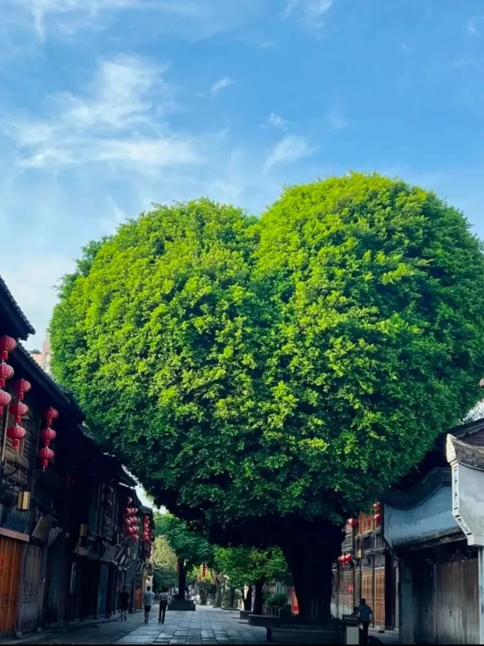 福建最值得去9大城市,山海人文旅行攻略