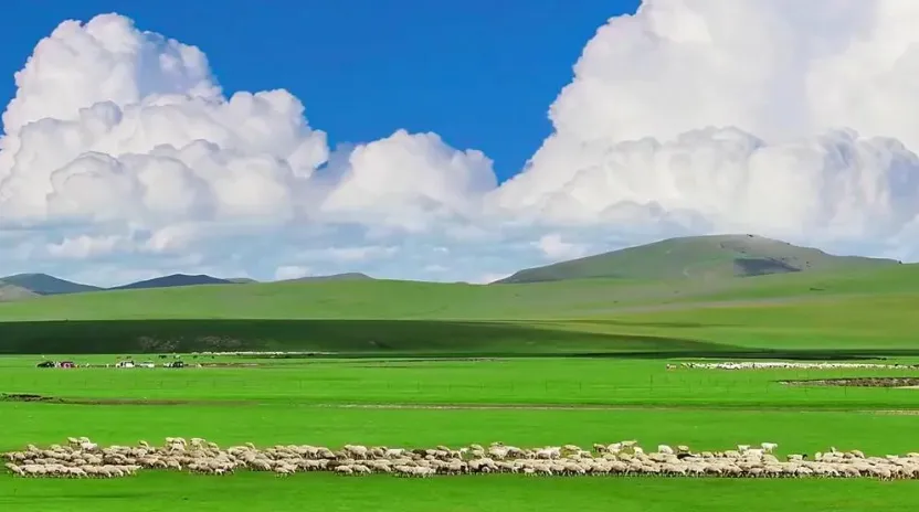 阿尔山全景旅游指南:闯入大兴安岭的林海秘境