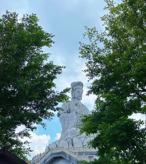暑期樟木头森林之旅,樟木头这份旅游攻略请收好~