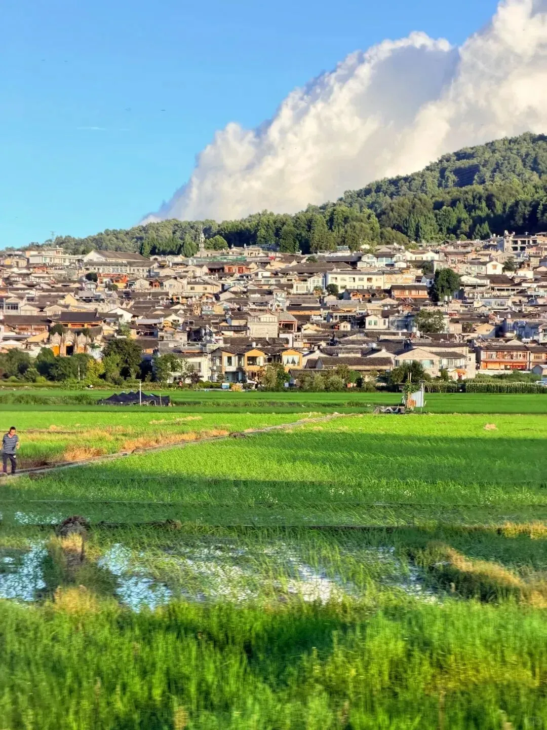 暑期腾冲旅游攻略|3天2晚这样玩,火山、温泉、古镇一次打卡
