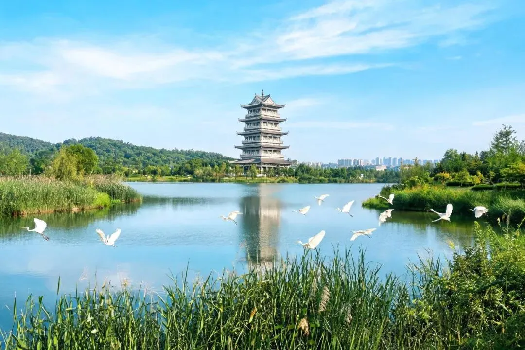 长沙洋湖湿地公园旅游攻略|免费逛吃攻略