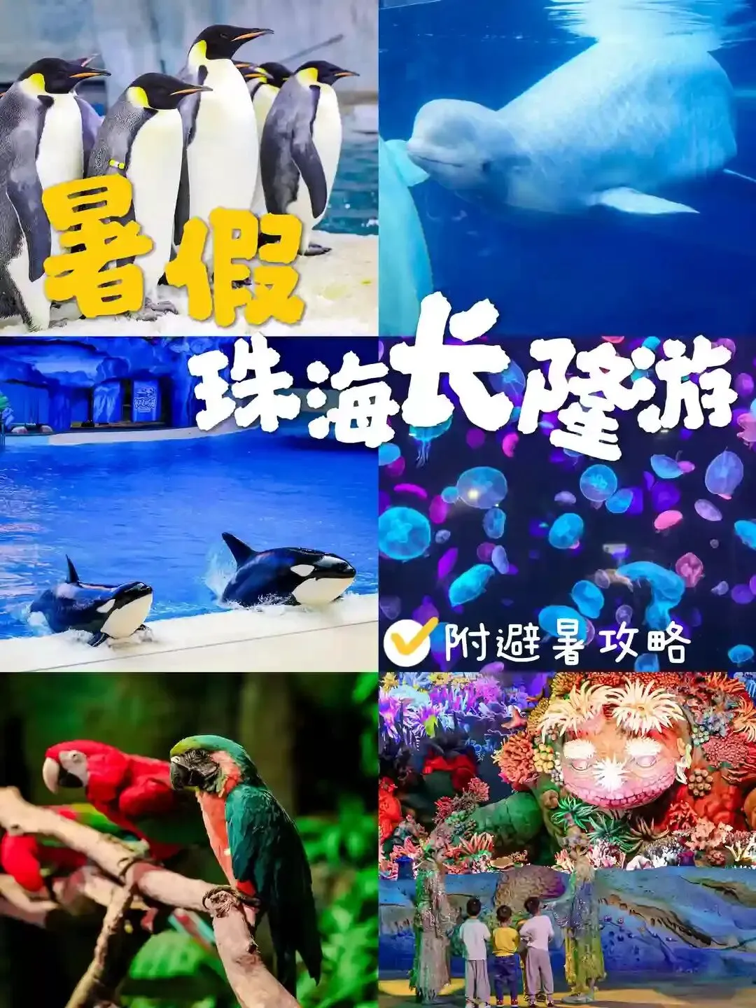 暑假珠海旅行|长隆避暑+海边亲子三日攻略