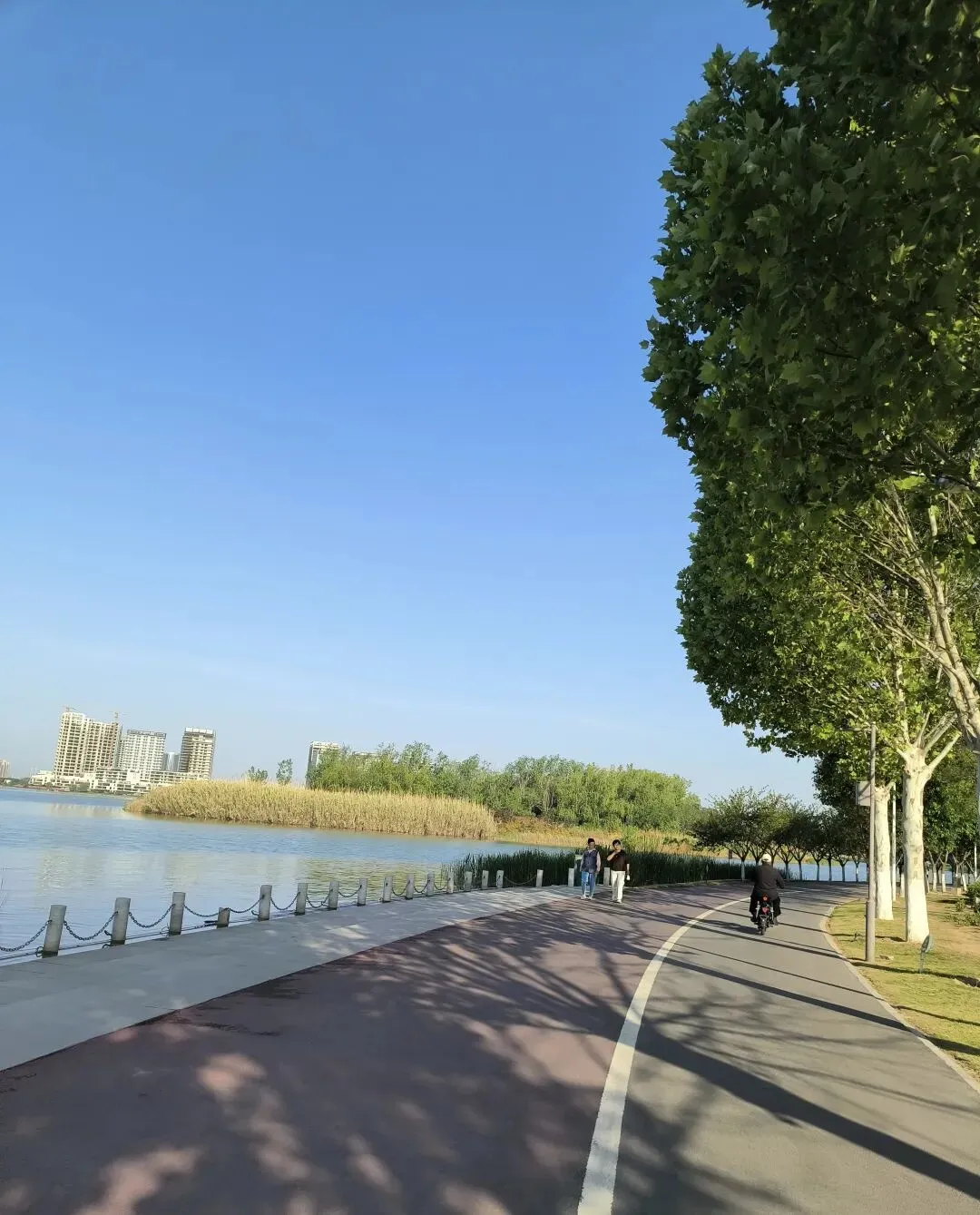 濮阳长辈旅游攻略:零陡坡无爬山,轮椅代步友好,豫北慢游宝藏小城