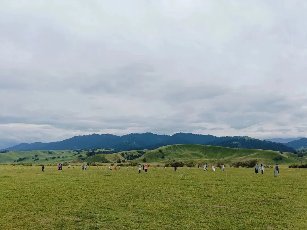 8月暑期旅游避坑全指南,从业导游真心话,别让期待旅途变成满心糟心