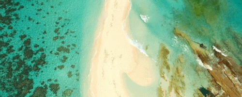 八月澳大利亚旅行指南:旱季蓝海与冬末限定玩法