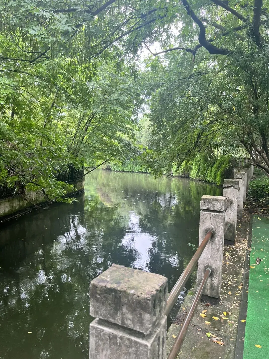 浅居杭州,我再也没办法接受特种兵式旅游了