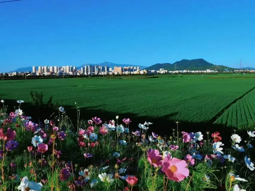 关于昭通,网上的很多旅游攻略,真的会把本地人气笑!