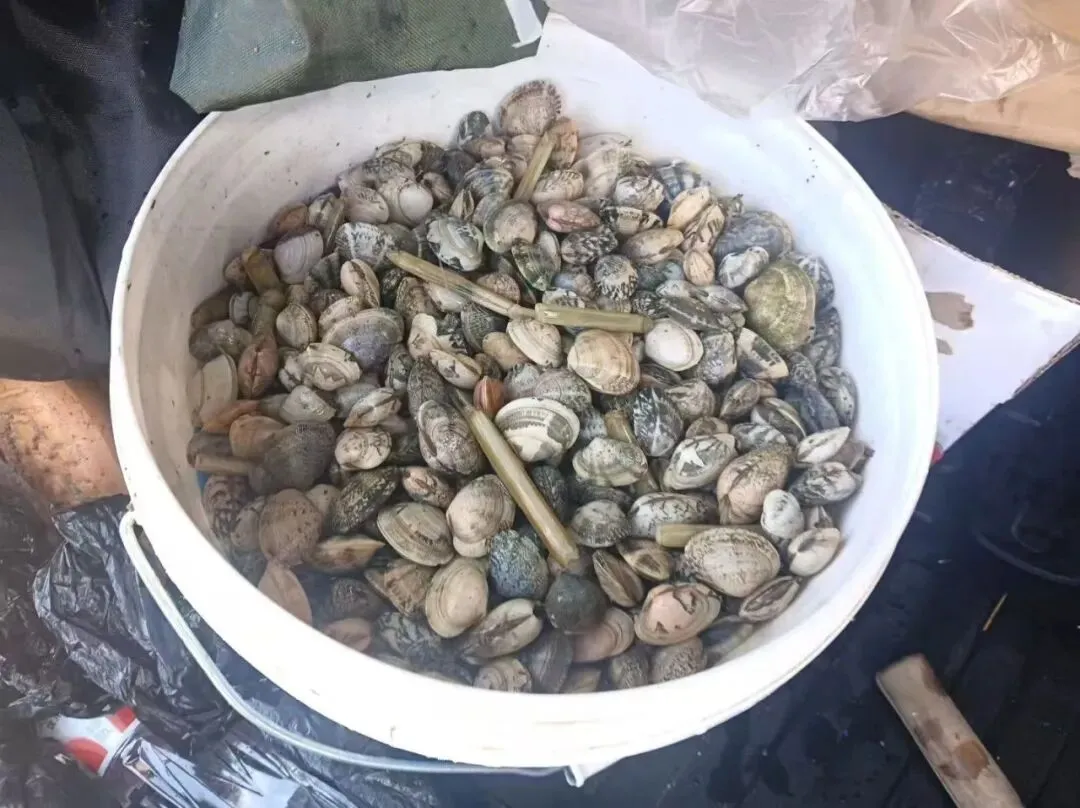 日照深度游玩指南|百元解锁山海浪漫,赶海、拍照、海鲜一站式零踩坑
