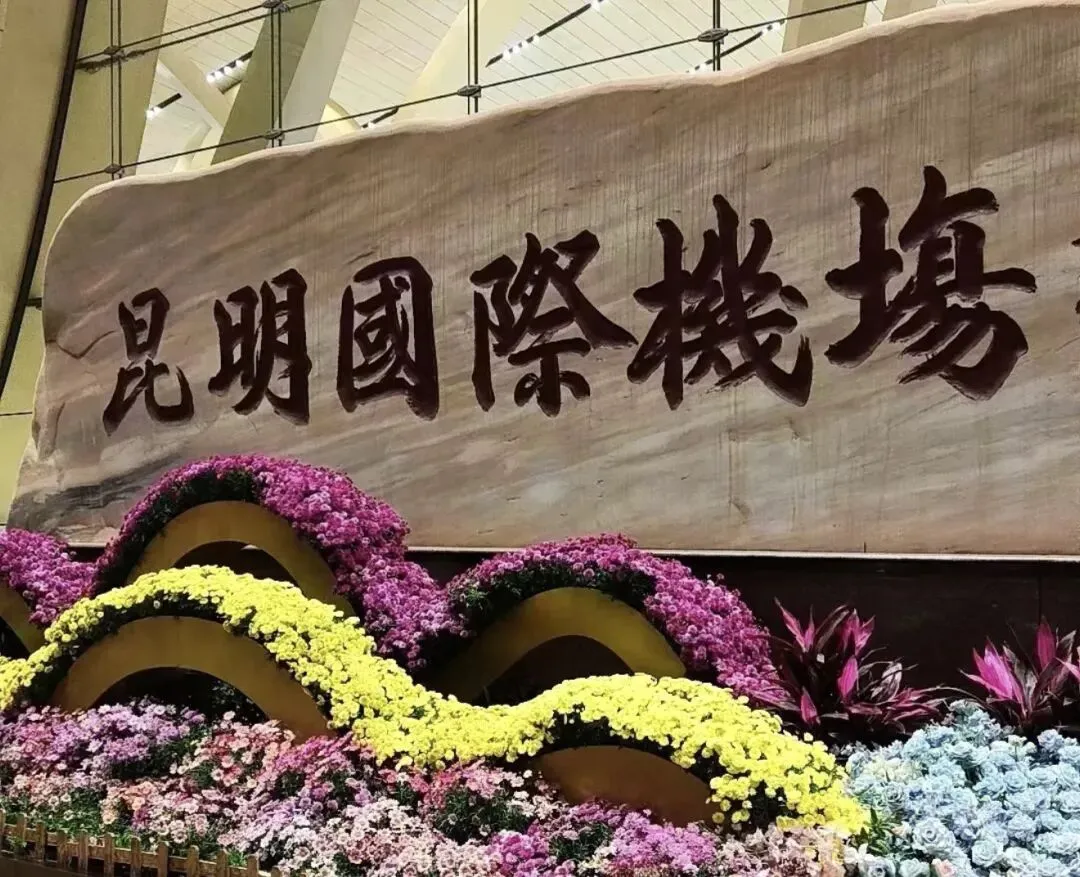 云南之旅 8天7晚 经典旅行攻略