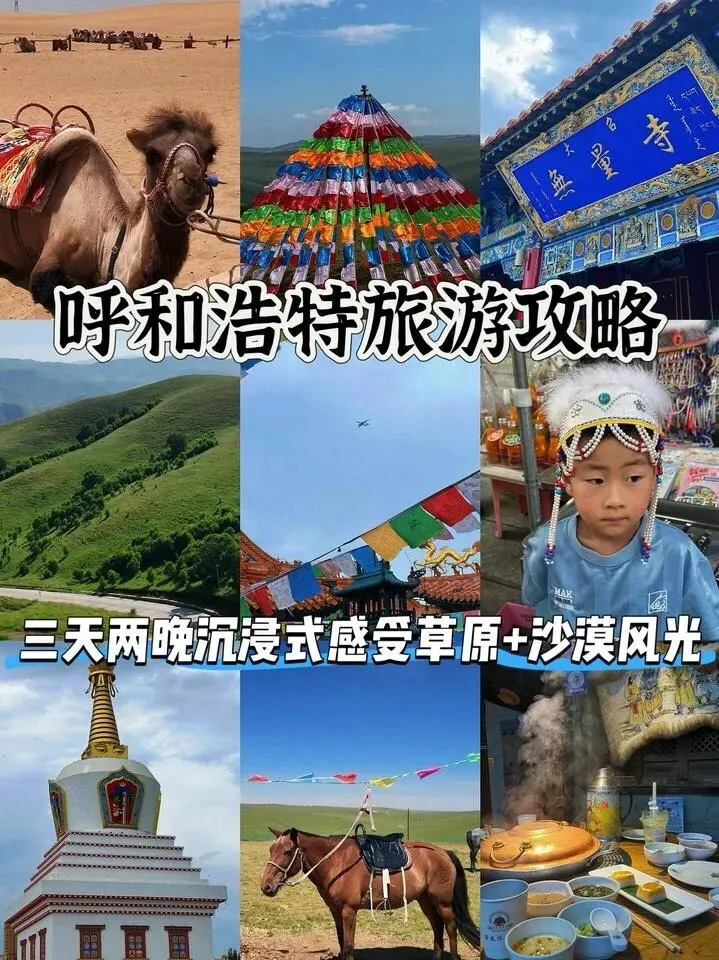 呼和浩特旅游攻略 暑假遛娃最成功的一站