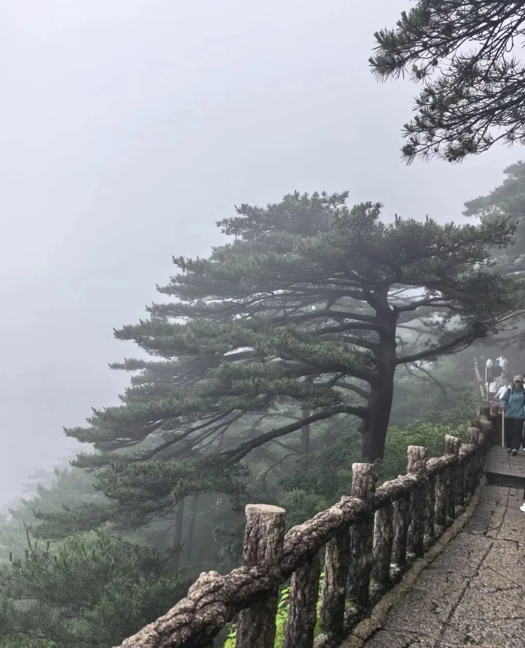 黄山旅游攻略|8月实话实说,别被美图蒙蔽双眼
