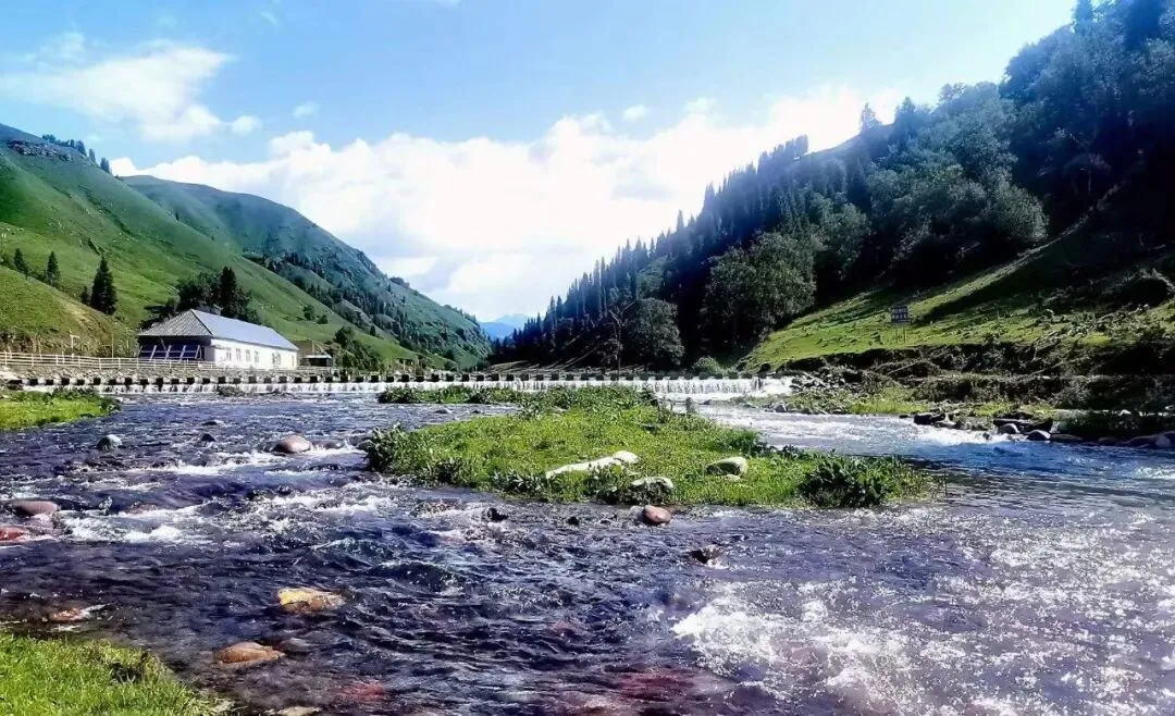 新疆伊犁全域旅行攻略:四季流转的边疆秘境全指南