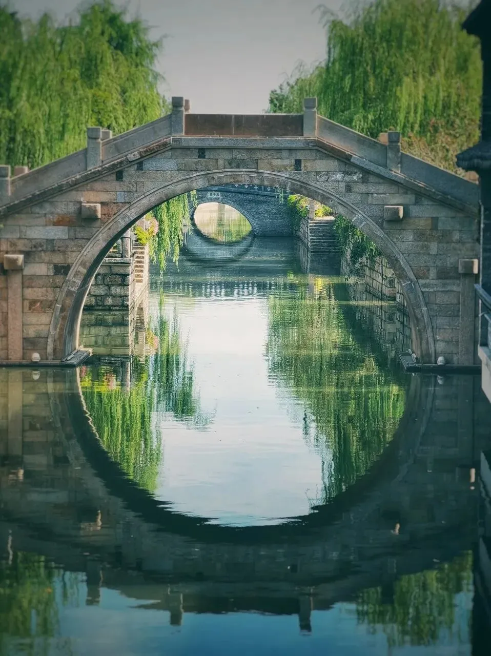 江苏盐城 | 旅游攻略:红海滩,芦荡迷宫,丹顶鹤偏爱,森林氧吧……人人都向往的生态伊甸园