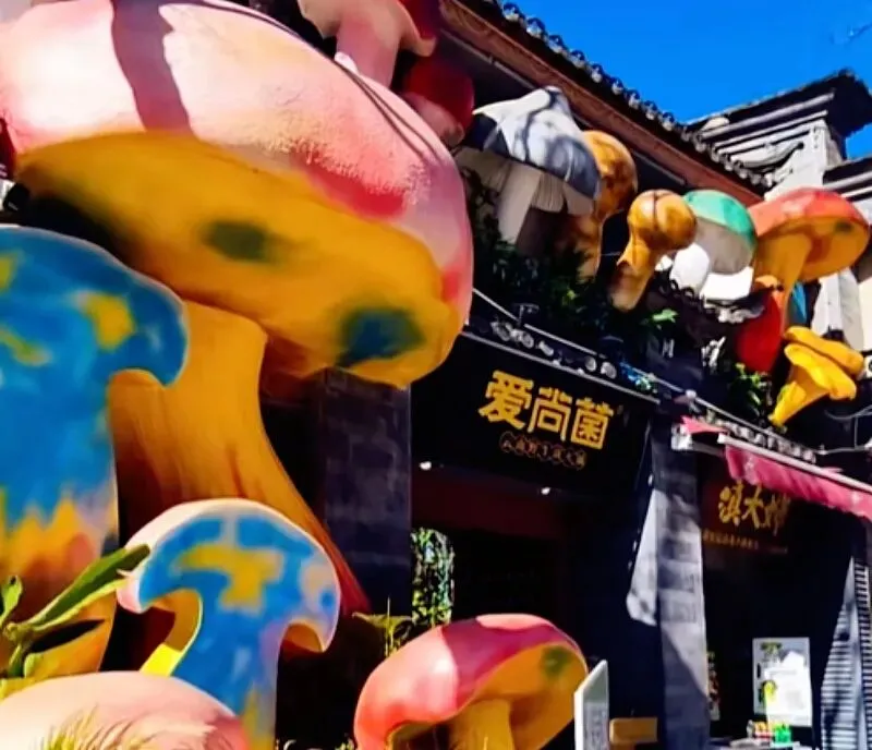 昆明官渡乡村旅游攻略