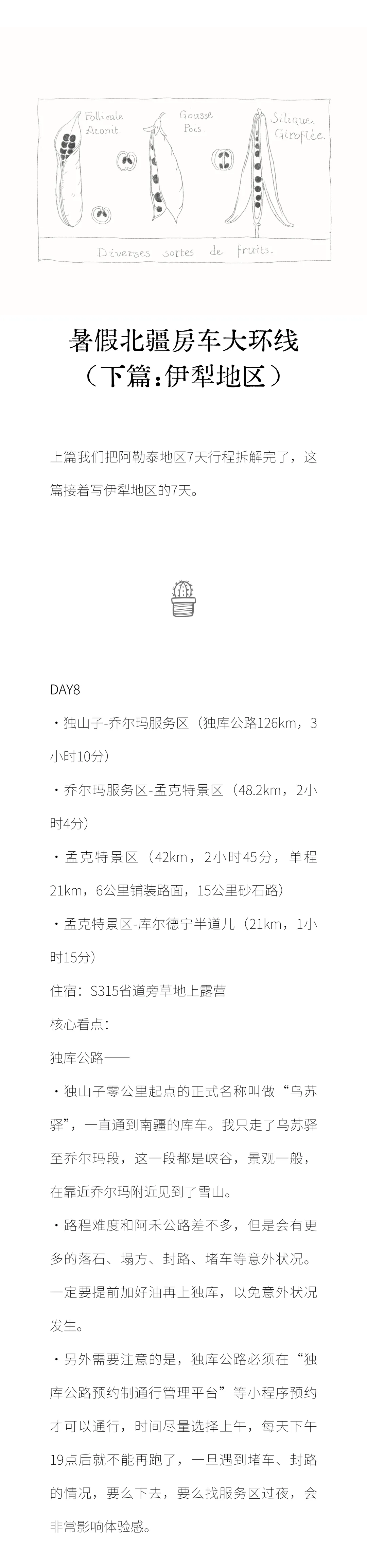 暑假北疆大环线房车旅行攻略——下篇:伊犁地区