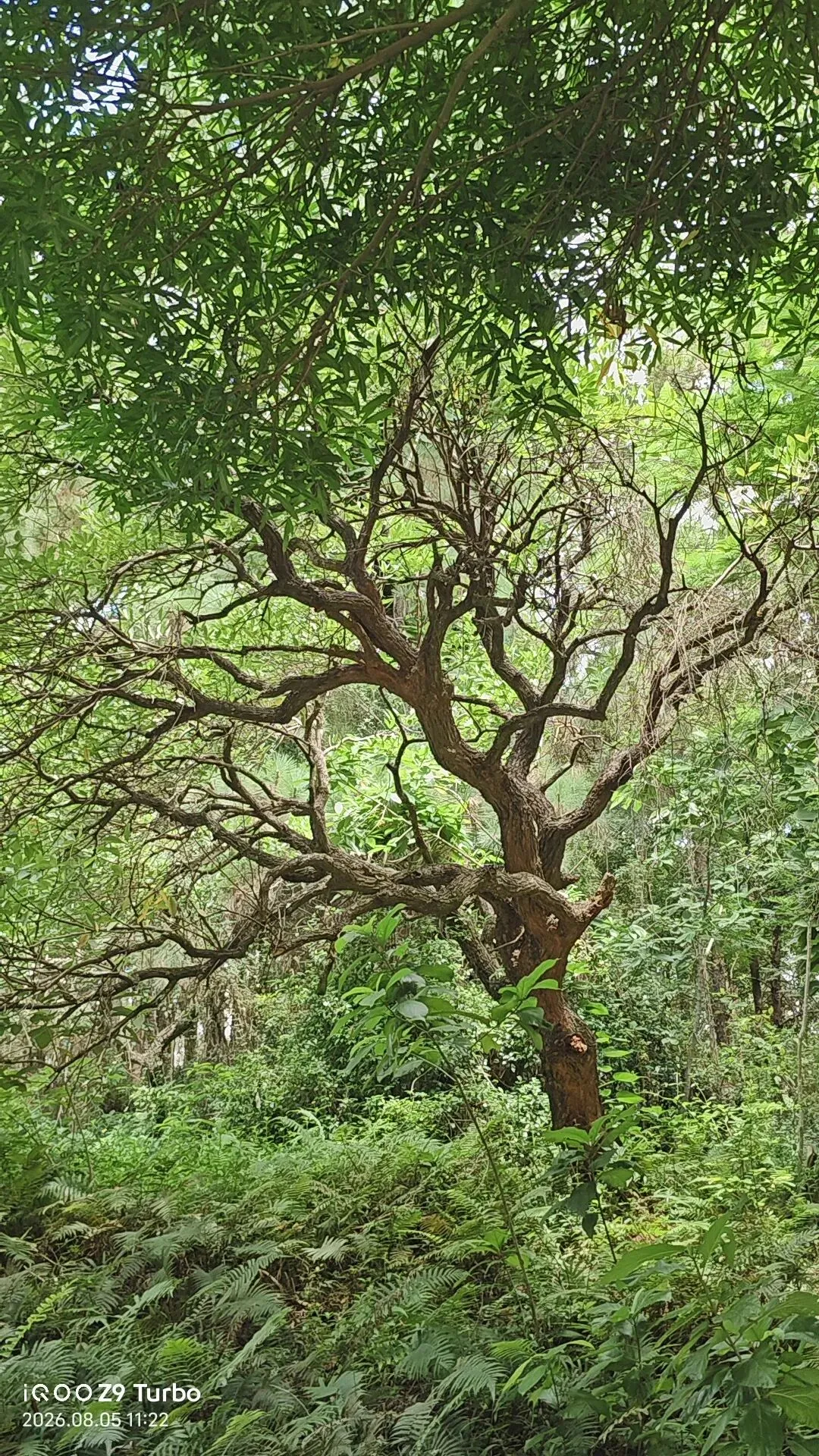 结伴旅游,有五种不同角色,快来看看你属于哪一种: 规划攻略师、摄影师、财务员,还是纯玩人?