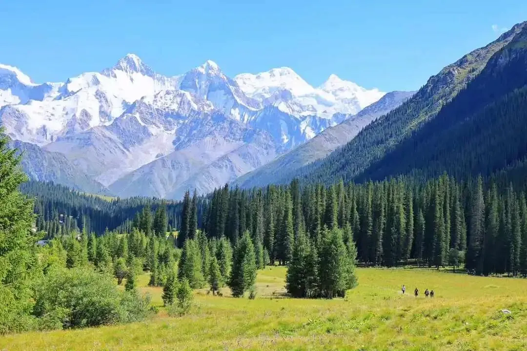 八月伊犁旅行指南:穿越独库公路与那拉提的四季画卷
