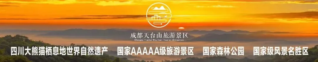 汛期景区安全游玩指南