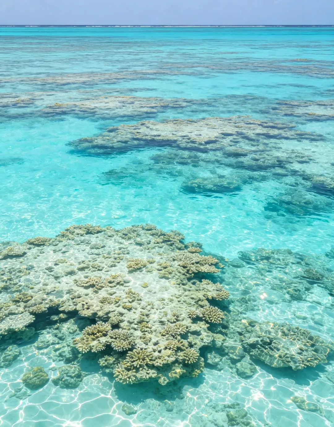 西沙小众旅行攻略|坐南海之梦号游轮逛西沙群岛,轻奢出行不踩坑