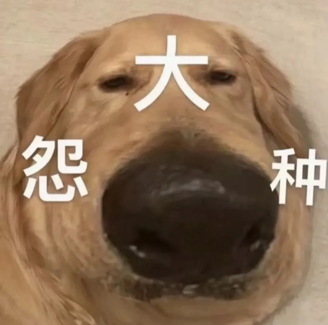 做攻略比旅游还累:暑假带娃出门,真是自讨苦吃