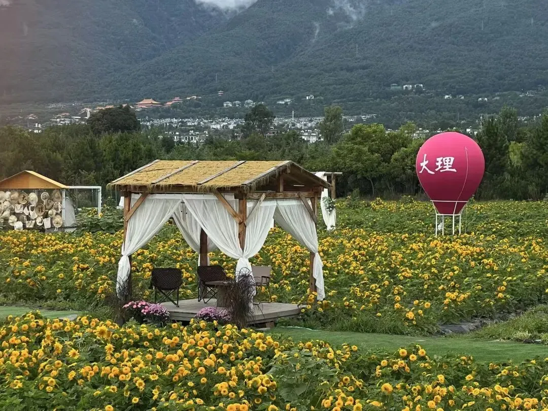 说走就走的旅行——云南(二)大理及避坑指南