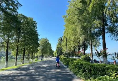 一个人的旅行,从湖北武汉开始,不用攻略,东湖边骑骑车就很解闷!!!心累了,去小住三五天!