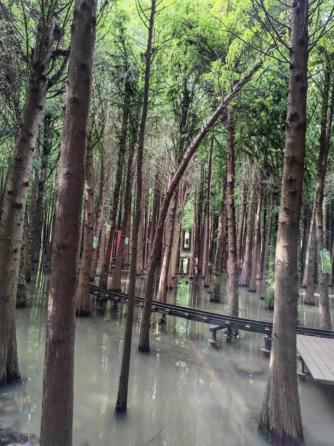 云南夏季避暑旅游攻略