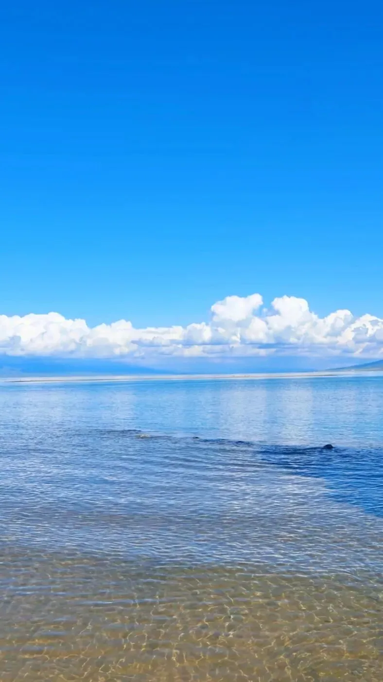 青海省西宁旅游攻略|19℃夏都避暑天花板,青海湖90块看全国最纯粹的蓝