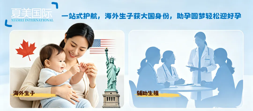 美宝证件丢失别慌!旅行证/护照/出生纸最全补办攻略,一次讲透