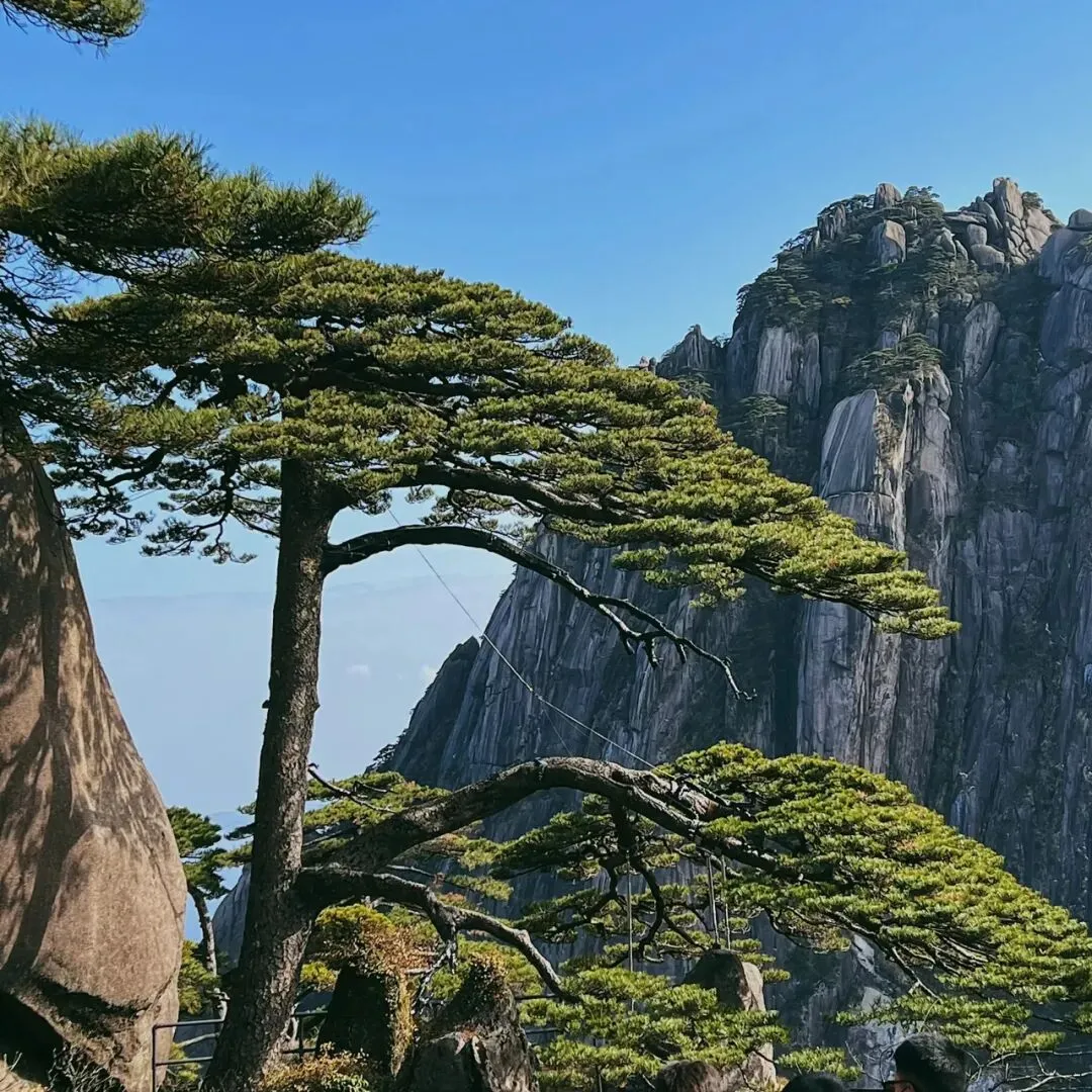 黄山旅游攻略|山水雄奇,徽村水墨如画,是一生值得去一次的目的地|必去景点、交通吃住、行程一次讲清
